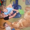 Dogoterapia